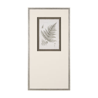 Mercana Hand Embellished Fern Study Collection