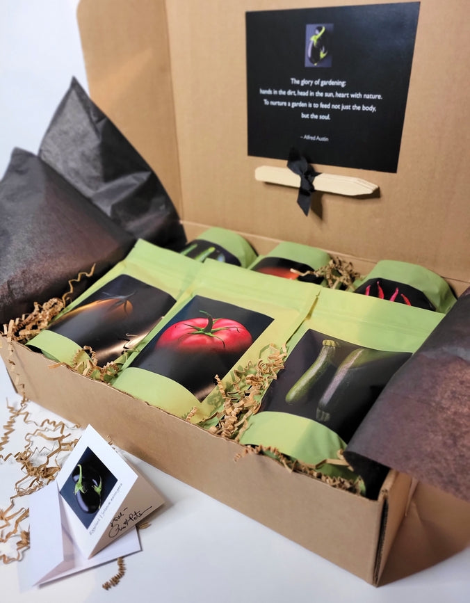Cultivated Seed Start Gift Box