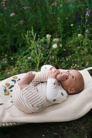 Baby Spring and Summer