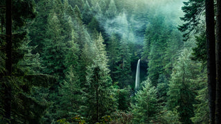 Buy Pacific Northwest