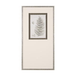 Mercana Hand Embellished Fern Study Collection