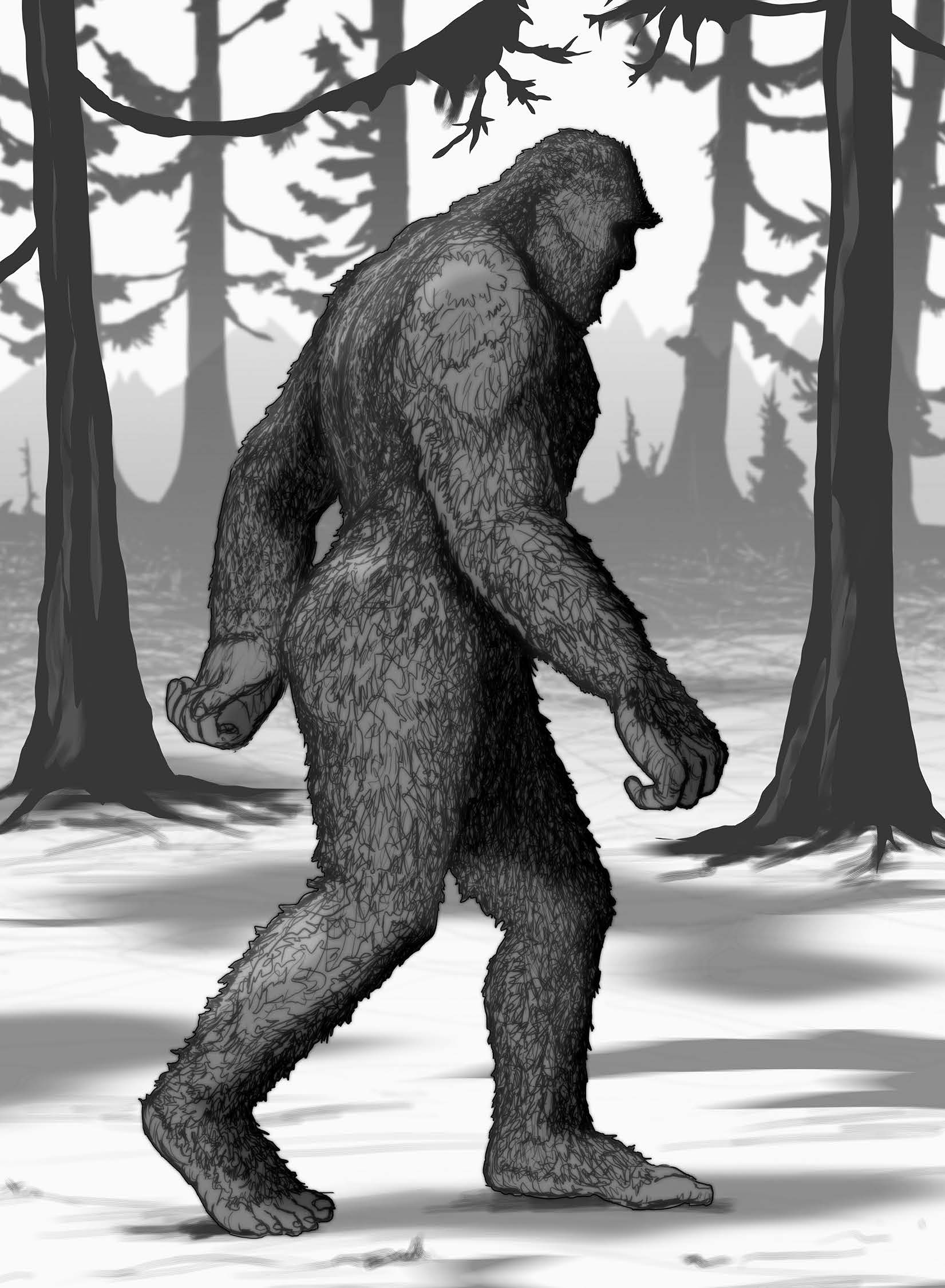 The Sasquatch Seeker's Field Manual