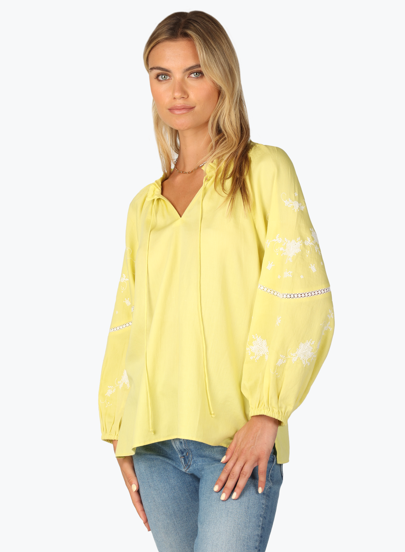 Dylan Emelia Embroidered Blouse