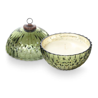 Noble Winter Balsam & Cedar Collection