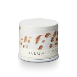 Illume Driftwood Collection