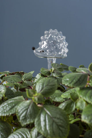 Hedgehog Trickle Watering Tube