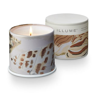 Illume Driftwood Collection