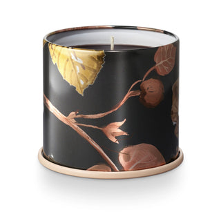 Noble Autumn Midnight Pumpkin Collection