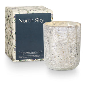 Noble Winter North Sky Collection