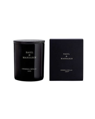 Cereria Molla Collection Basil and Mandarin