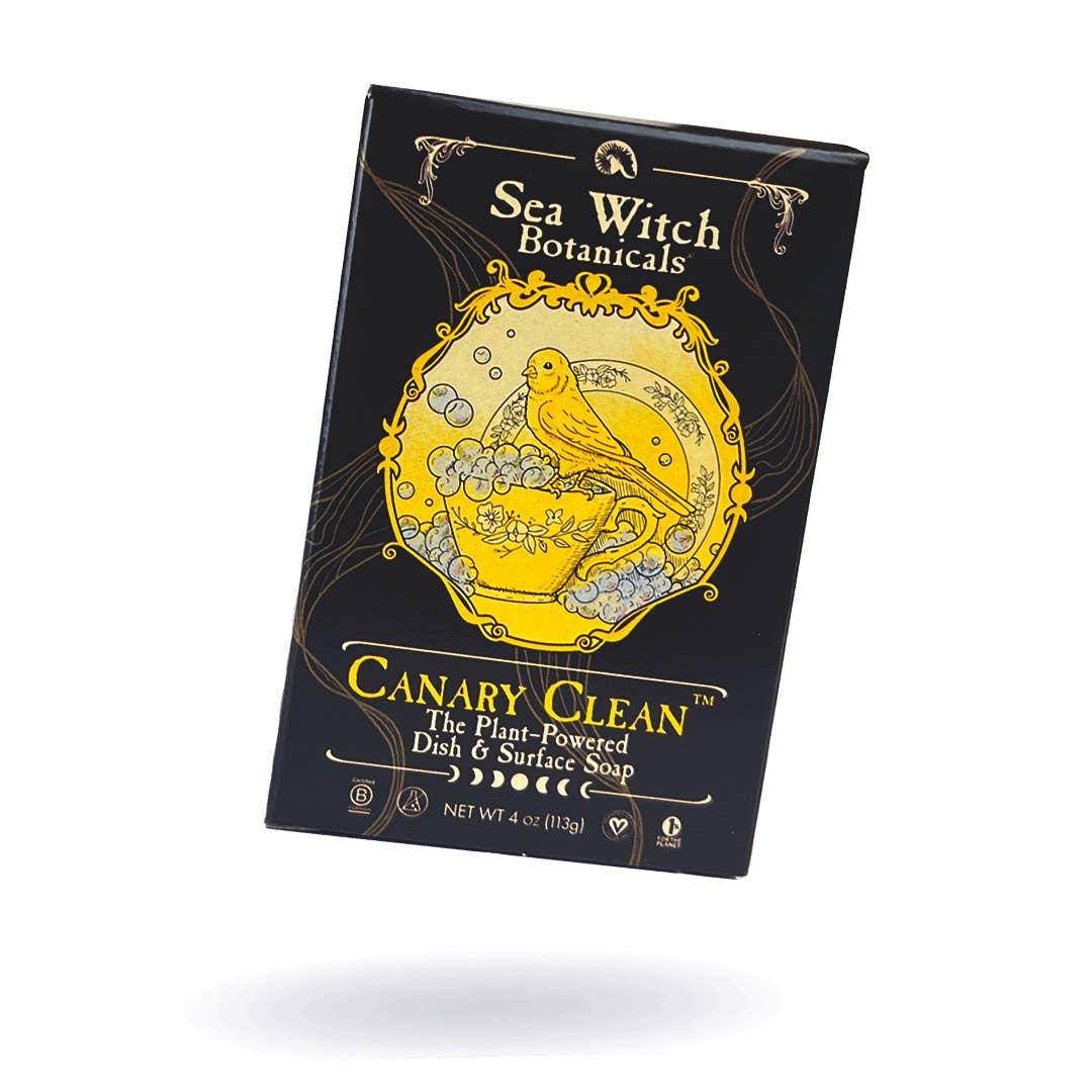 Sea Witch Dish and Surface Bar Soap