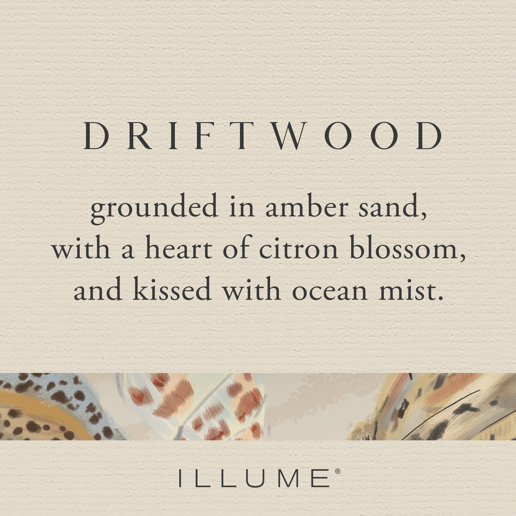 Illume Driftwood Collection