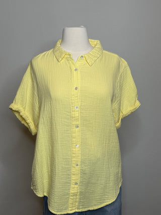 Dylan Natalie Roll Sleeve Shirt