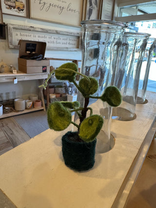Felt So Good Mini Plants Decorations
