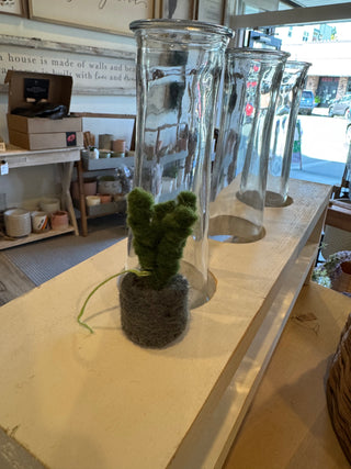 Felt So Good Mini Plants Decorations