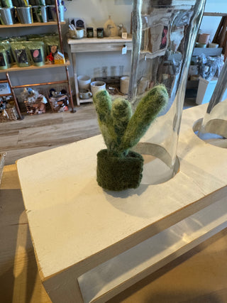 Felt So Good Mini Plants Decorations