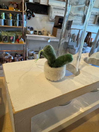 Felt So Good Mini Plants Decorations