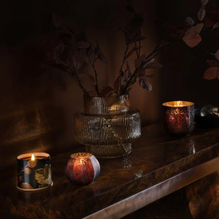 Noble Autumn Midnight Pumpkin Collection