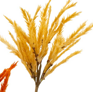 Feathergrass Picks