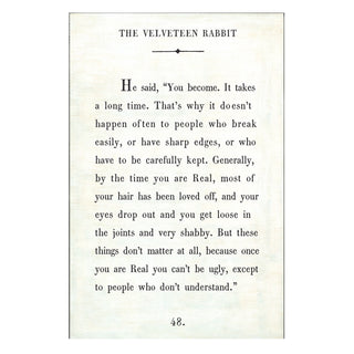 Sugarboo Gallery Velveteen Rabbit