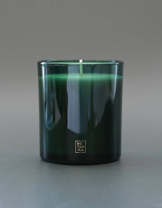 Botanica Fraser Fir Holiday Candle