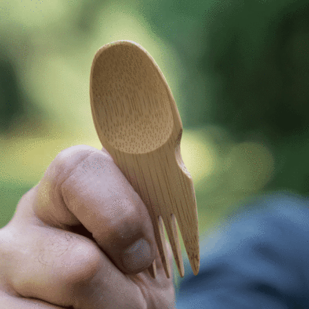 Bambu Spork