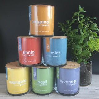 Culinary Garden Glass Jars