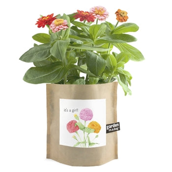 Garden-in-a-Bag - Flowers