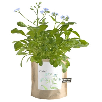 Garden-in-a-Bag - Flowers