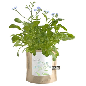 Garden-in-a-Bag - Flowers