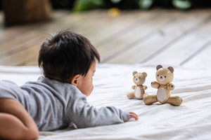 PlanToys Bear and Little Bear