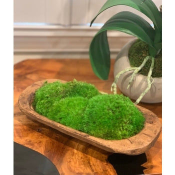 Forever Green Art Petite Moss Dish