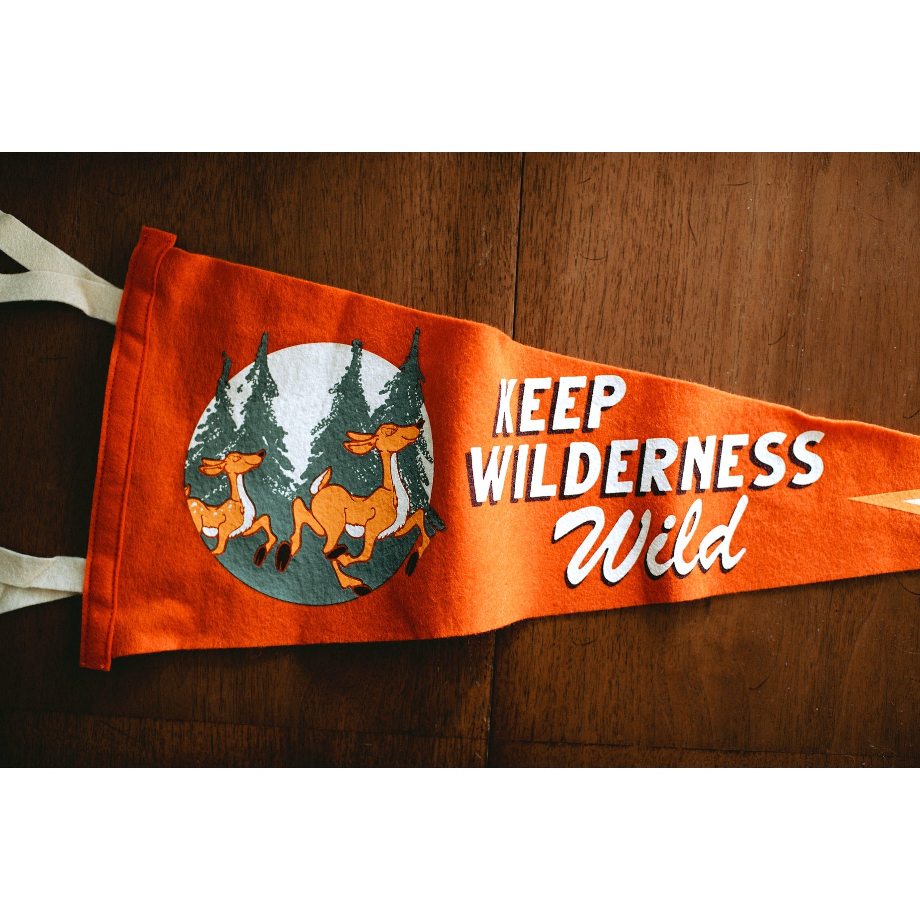 Good & Well National Parks Pennant