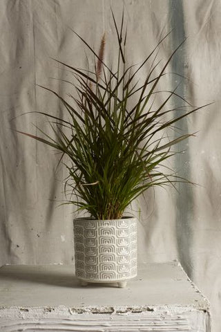 Itza Pot
