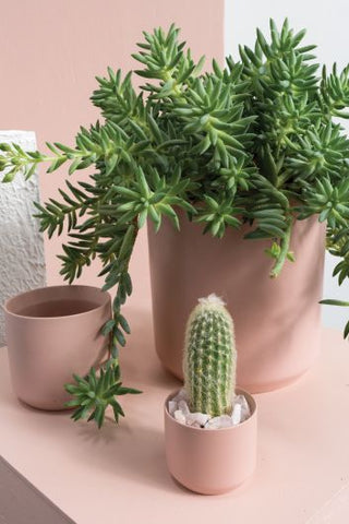 Kendall Pot