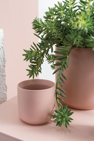 Kendall Pot