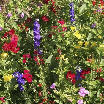 Scatter Garden Bag