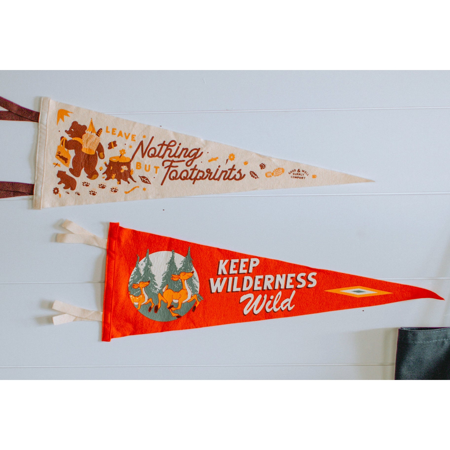 Good & Well National Parks Pennant