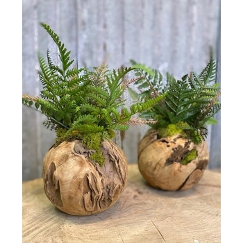 Forever Green Art Woodland Fern