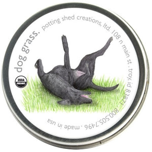 Garden Sprinkles