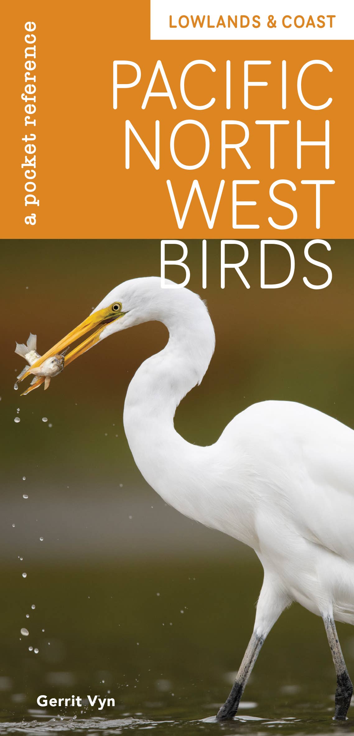 Pacific Northwest Birds: Lowlands & Coast