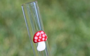 Glass Drinking Straws